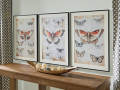Best Deals Furniture - Ashley Furniture - Jossletts Wall Art (Set of 3) - Wall Art Set (3/CN) - A8000490