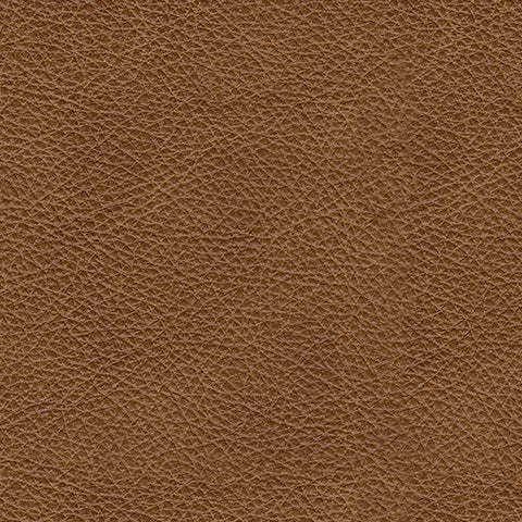 Carianna Queen Sofa Sleeper
