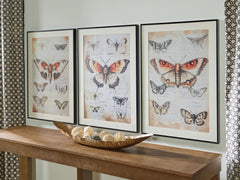 Best Deals Furniture - Ashley Furniture - Jossletts Wall Art (Set of 3) - Wall Art Set (3/CN) / Orange/Black/Ivory - A8000490