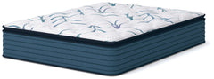 Limited Edition Plush PT 3.0 Full Mattress